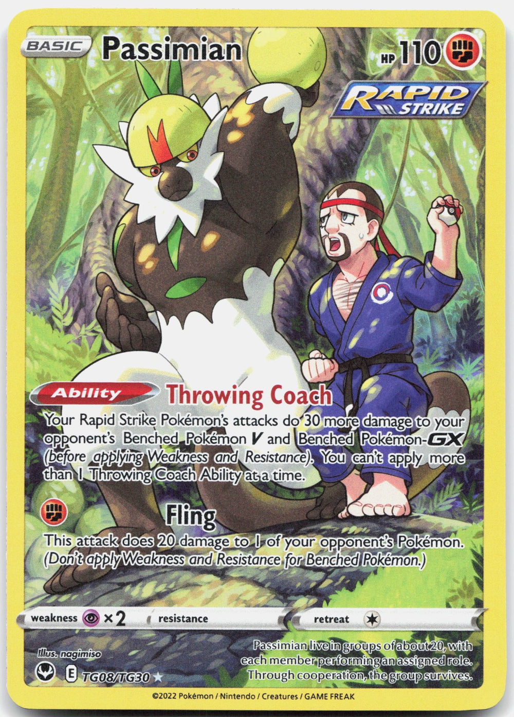 Passimian Holo Ultra Rare SWSH12: Silver Tempest Trainer Gallery TG08/TG30 NM